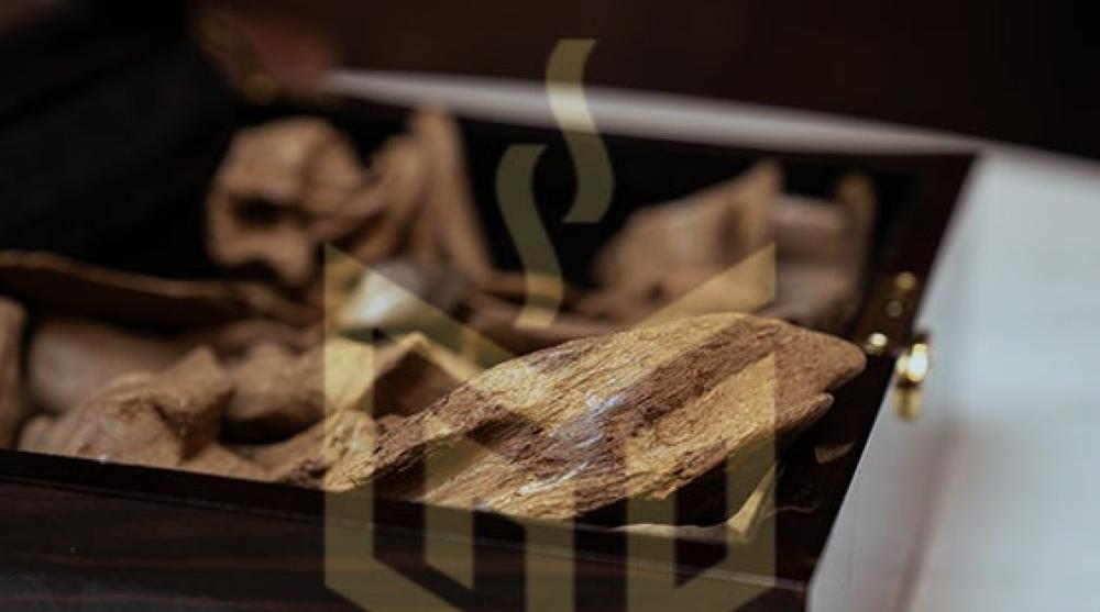 عود مروكي: الدليل الكامل لاحتراف شراء النوع الأصلي الفاخر