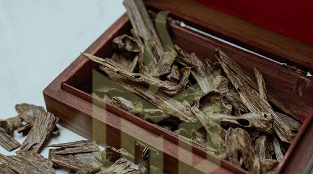 أفضل طرق حفظ العود الطبيعي ودهن العود I مجالس الكرام