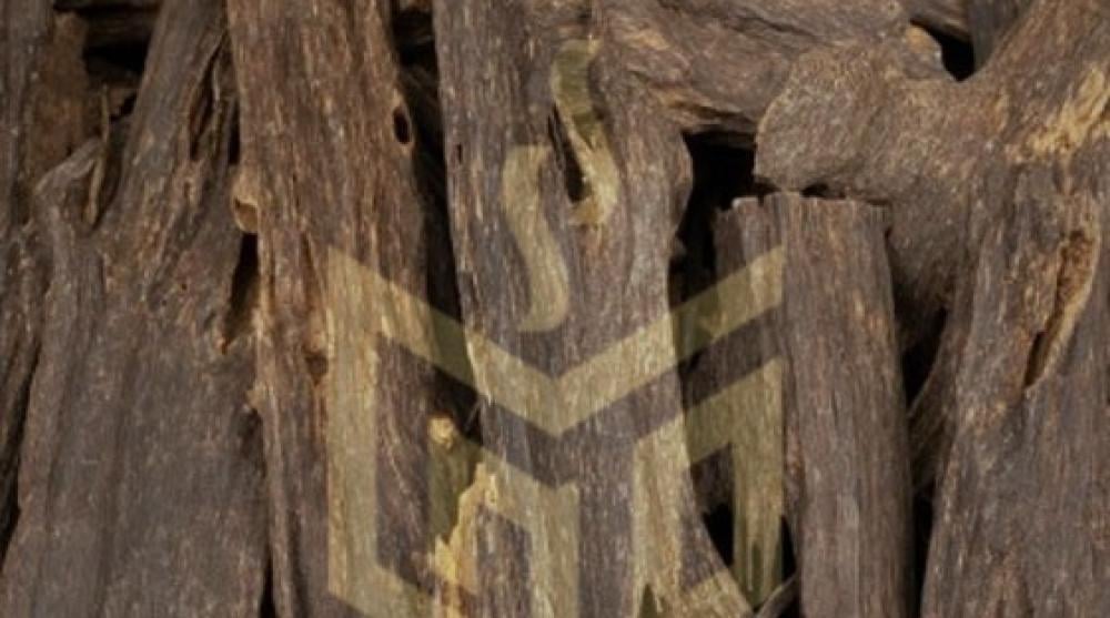 عطور عود: كيف تختار عطرك بناء على نسبة الزيت الطبيعي به؟