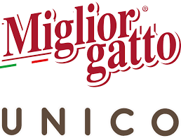 Miglior gatto