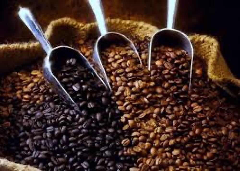 القهوة احادية المصدر، قهوة بلا منازع؟