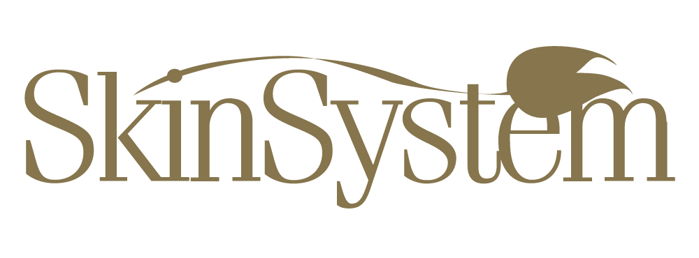 سكن سيستم - Skin System