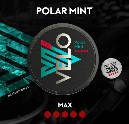 Vast Endurance اظرف نيكوتين فيلو نعناع مينت VELO NICOTINE POUCHES Polar Mint Max