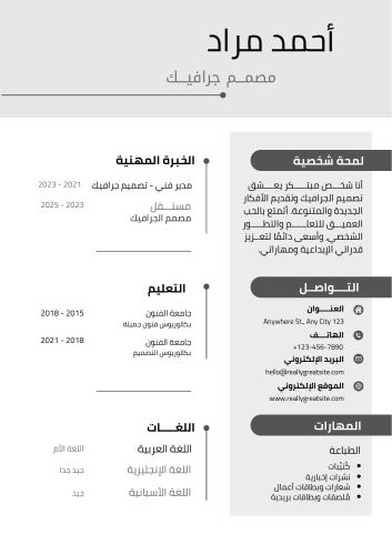 سيرة ذاتية عادية احترافية عربي