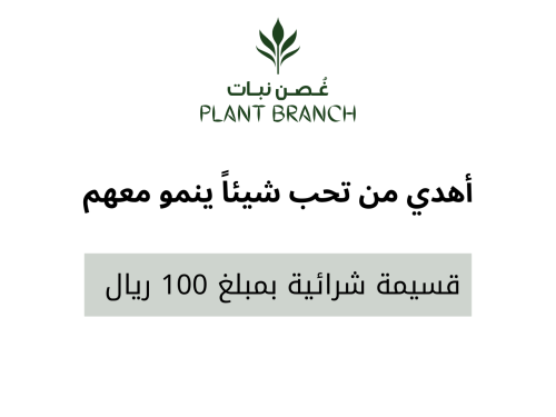 قسيمة شرائية بمبلغ 100 ريال
