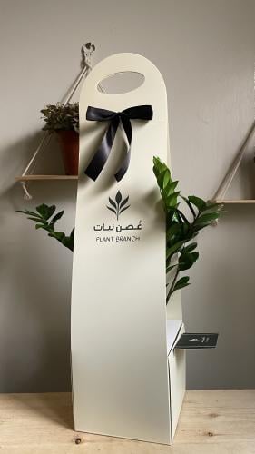 بكج إهداء مع نبته الزاميا