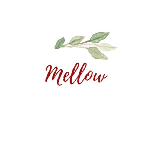 store avatar