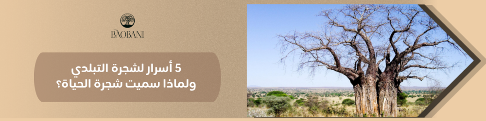5 أسرار لشجرة التبلدي: ولماذا سميت شجرة الحياة؟