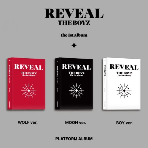 THE BOYZ - 1ST ALBUM REVEAL (Platform Ver) (Random...