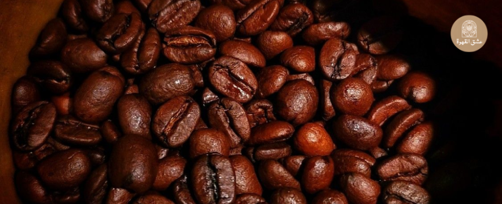 استمتع بأفضل قهوة مختصة بطعم يضبط يومك من أول رشفة