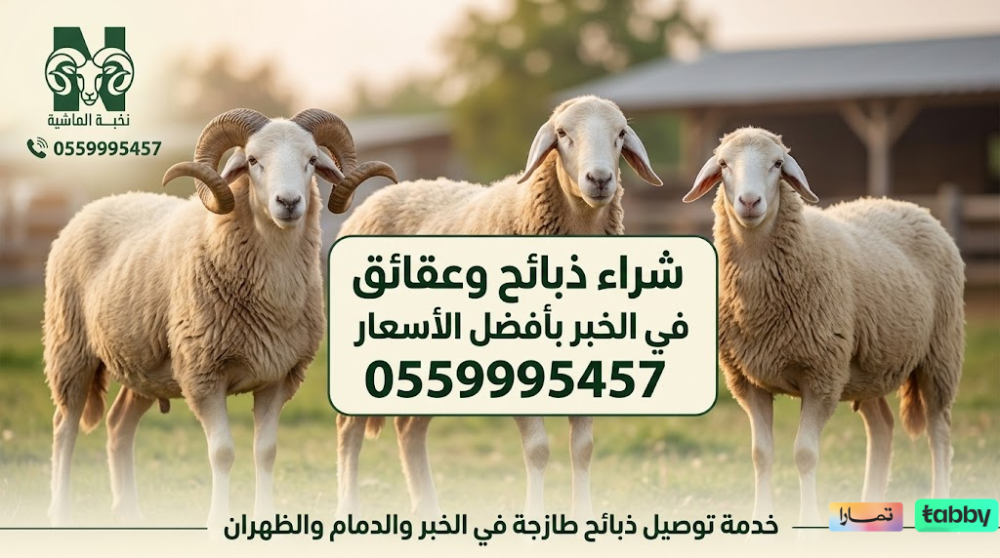 شراء ذبائح وعقائق في الخبر بأفضل الأسعار | 0559995457