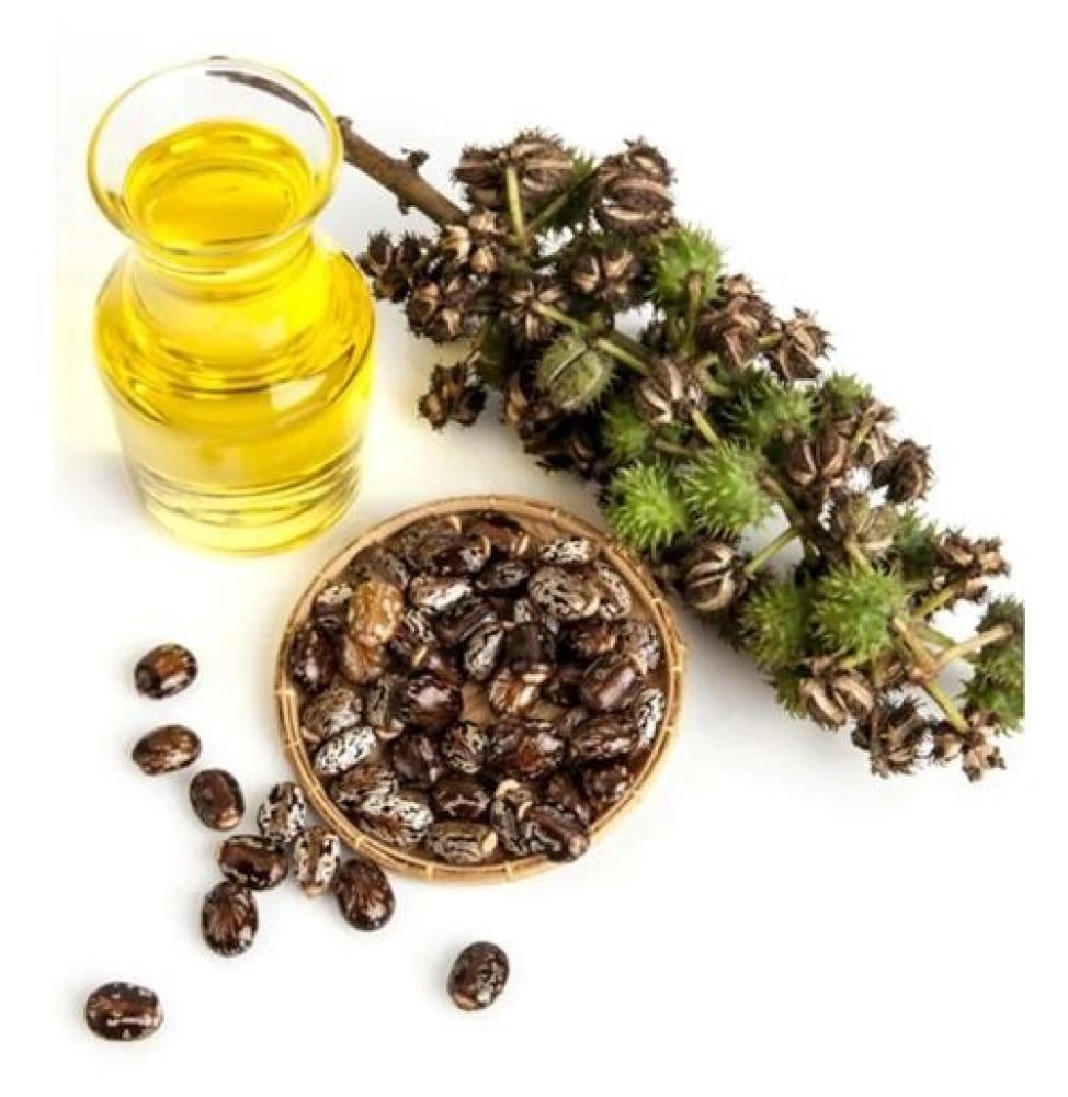 فوائد زيت السعد | سر الطبيعة في تقليل نمو الشعر | بديل الليزر الطبيعي