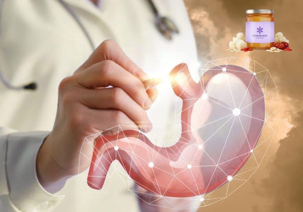 فوائد شوربة الفطر الثلجي للهضم: مشروب طبيعي لصحة المعدة والقولون