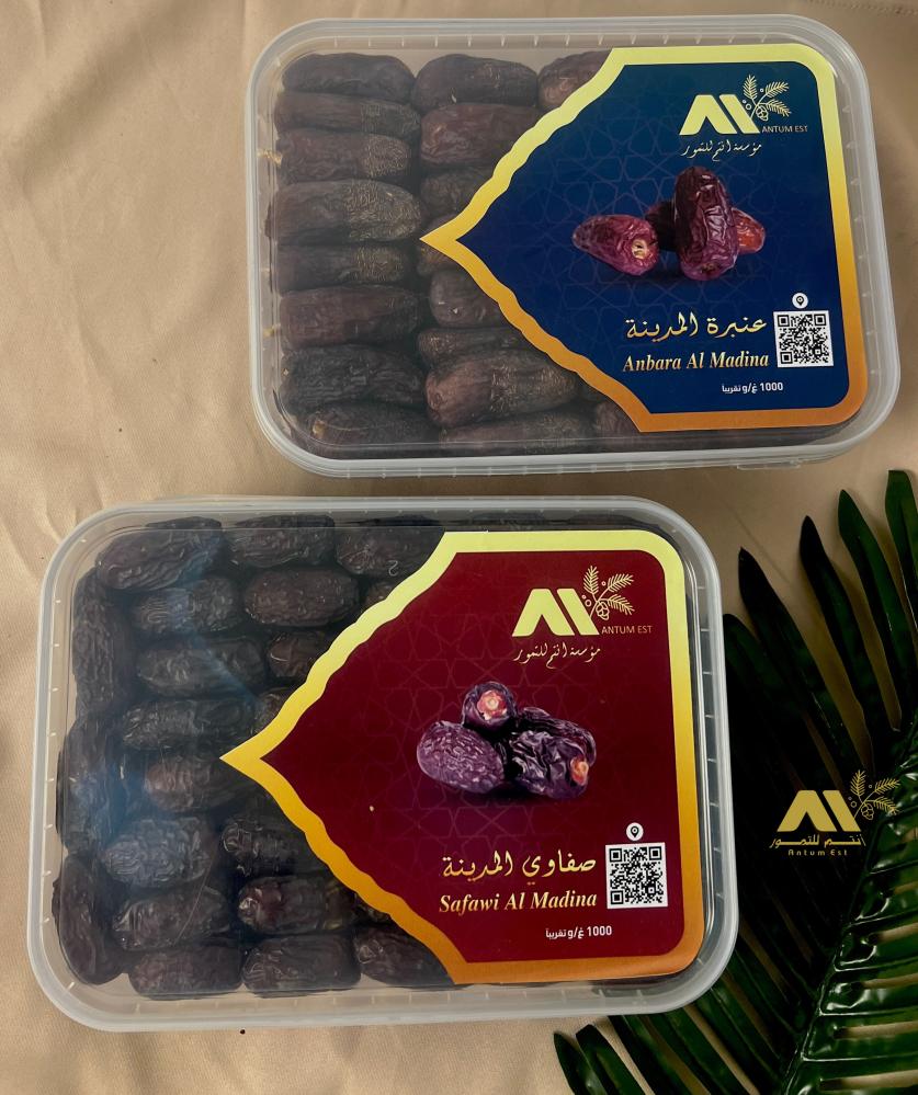 عنبرة المدينة