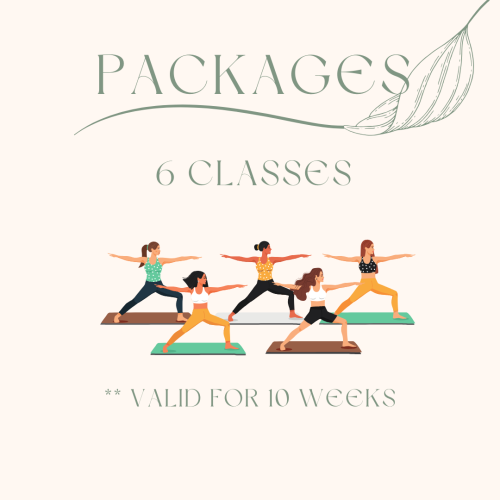 الباقات - Packages