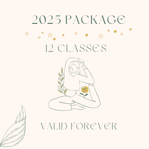 PACKAGE 2025