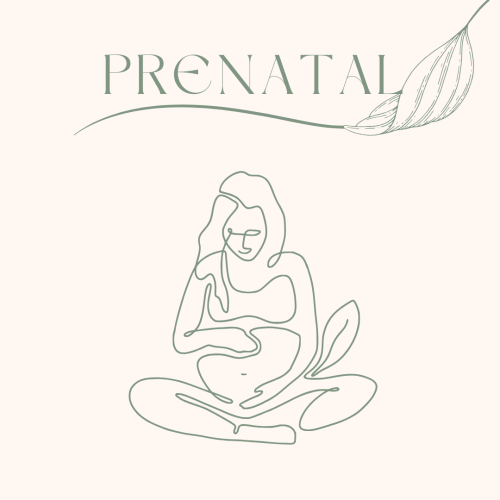 Prenatal Class (5:00 PM)