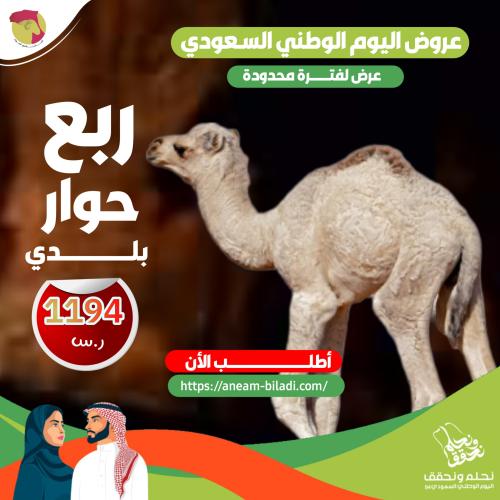 ربع حوار بلدي