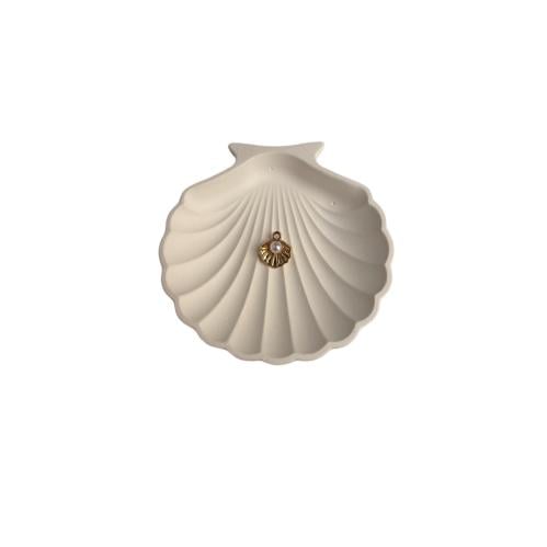 Sea shells 6