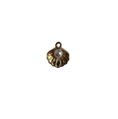 The striped seashell 4