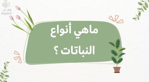 ما أنواع النباتات ؟