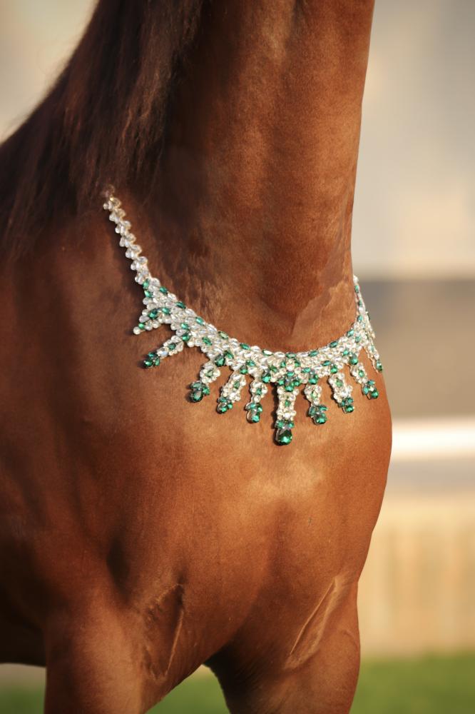 اكسسوار خيل E74-4