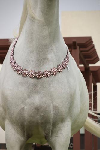 اكسسوار خيل E20