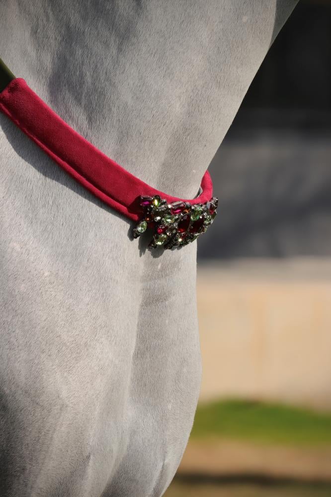 اكسسوار خيل E70-7