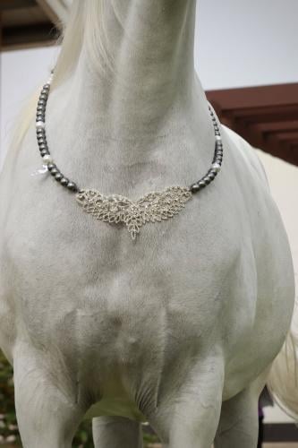 اكسسوار خيل E19 " مباعة - Sold Out "
