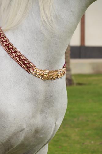اكسسوار خيل E17