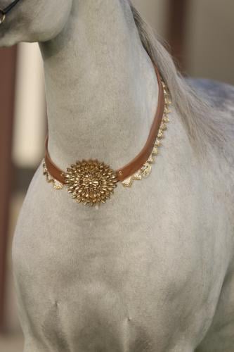 اكسسوار خيل E37