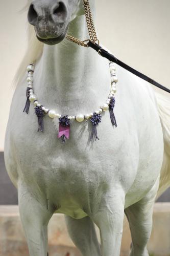 اكسسوار خيل E2