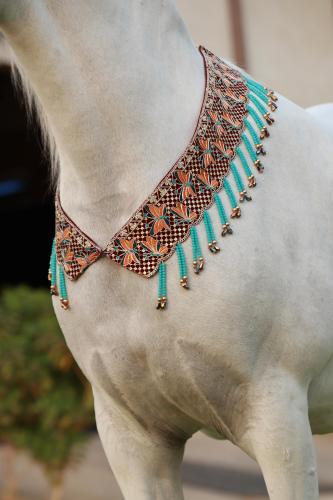 اكسسوار خيل E25