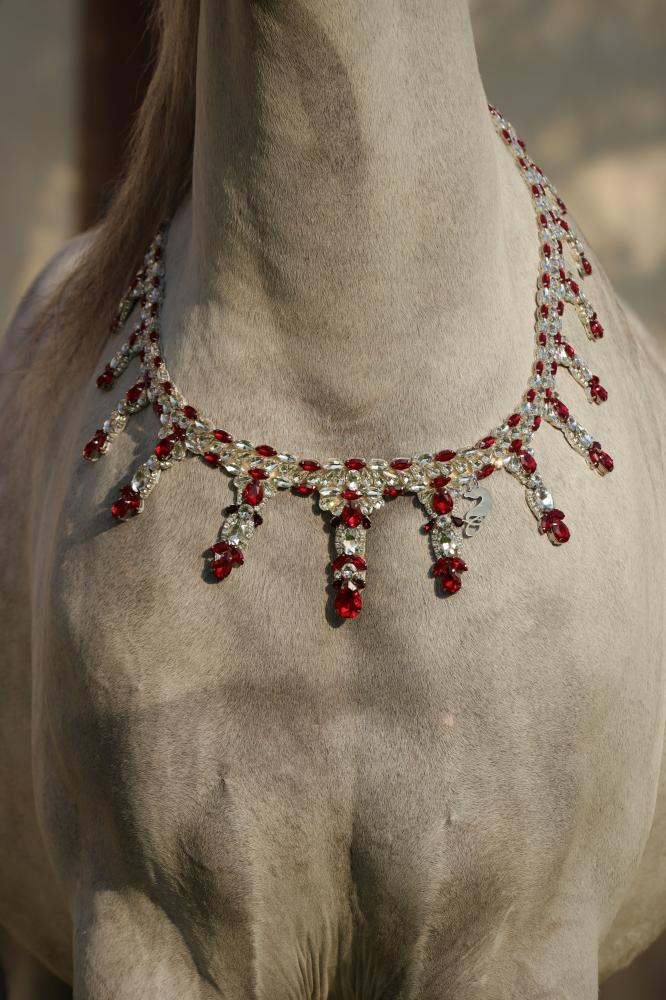 اكسسوار خيل E72-2