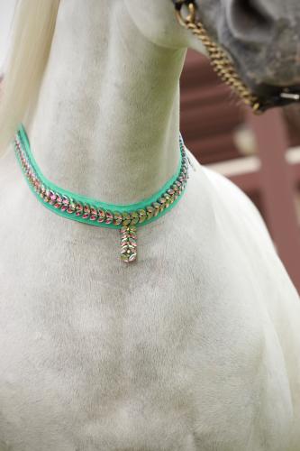 اكسسوار خيل E16 " مباعة - Sold Out "