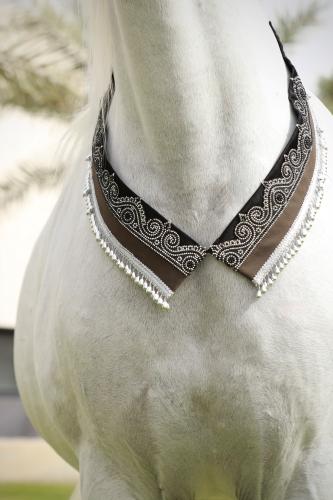 اكسسوار خيل 11
