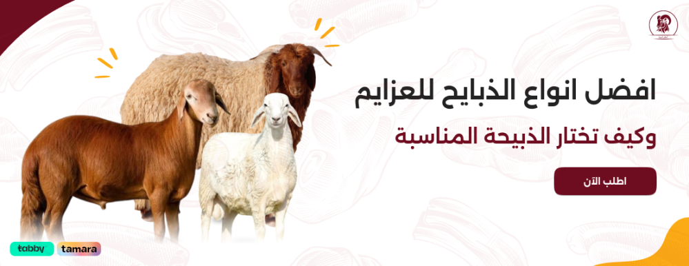 افضل انواع الذبايح للعزايم