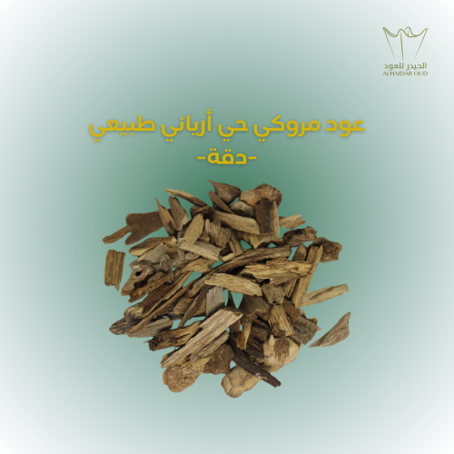 عود مروكي حي أرياني طبيعي - دقة -