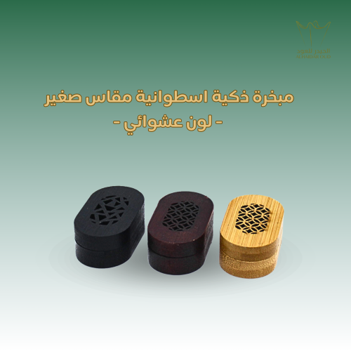 مبخرة ذكية - مقاس صغير - لون عشوائي