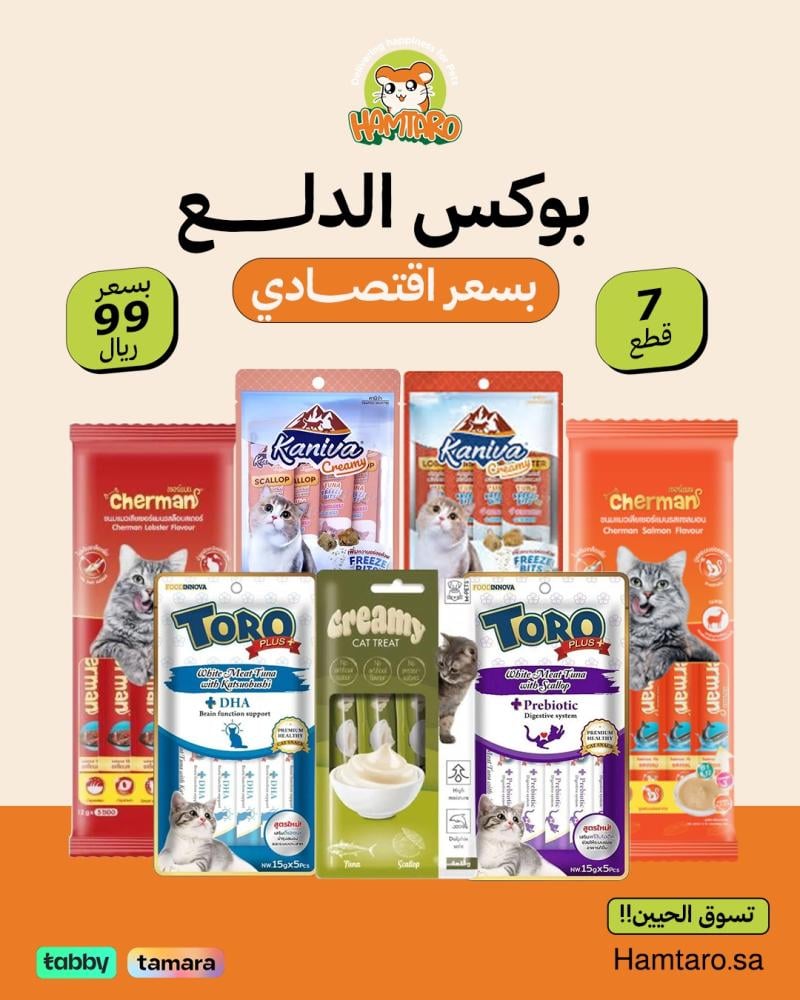 بوكس الدلع الاقتصادي