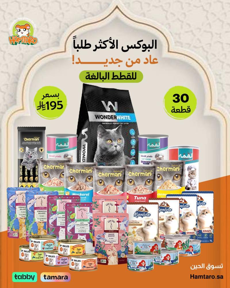 بوكس الأكثر طلبًا