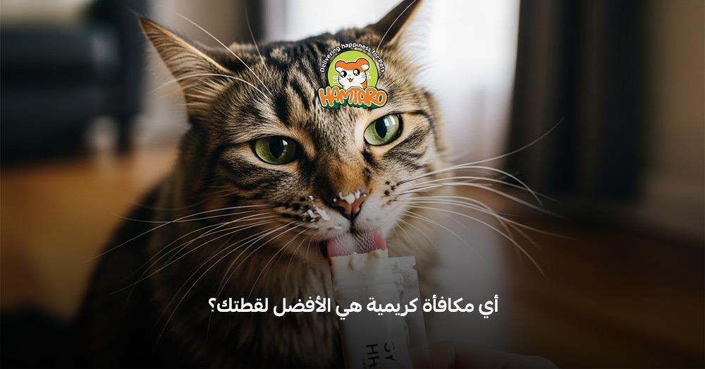 الطعام المناسب للقطط