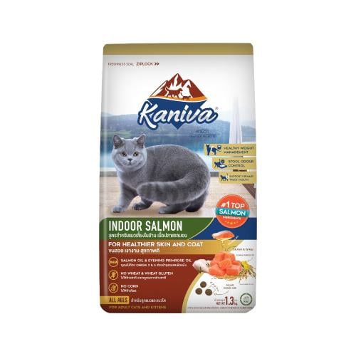 كانيفا اندور اكل جاف للقطط بالسلمون والديك الرومي والأرز 1.3 كيلو