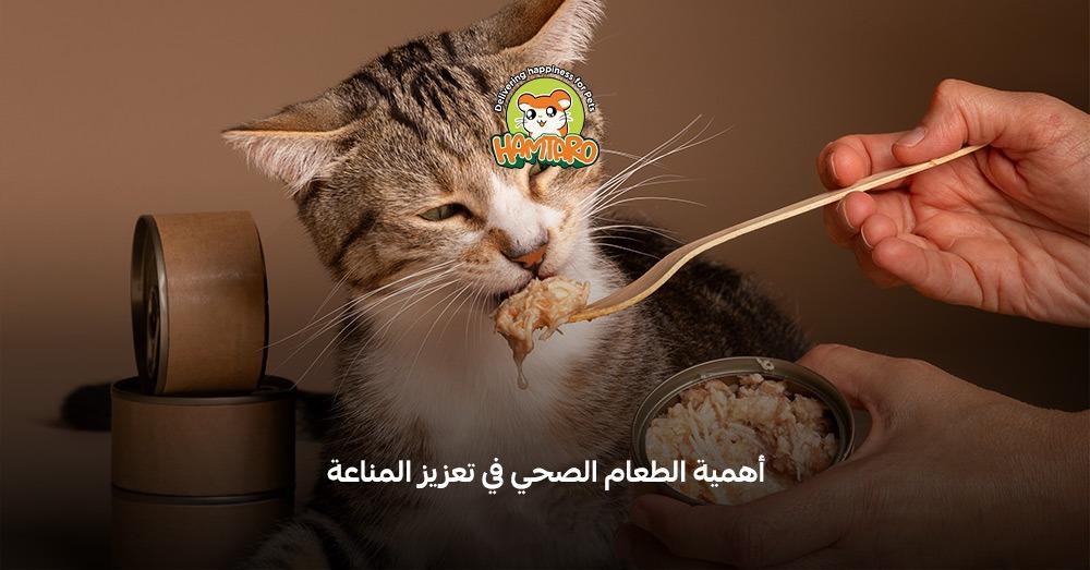 وجبات صحية للقطط