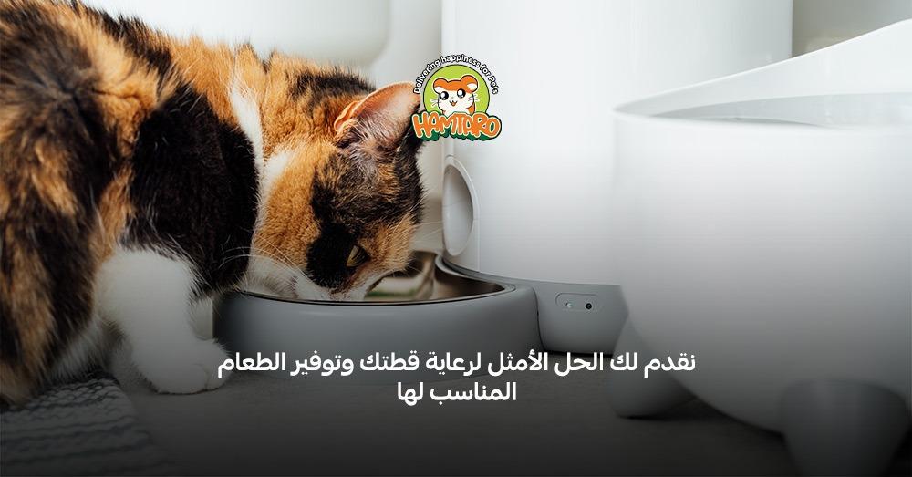 اكل رطب للقطط