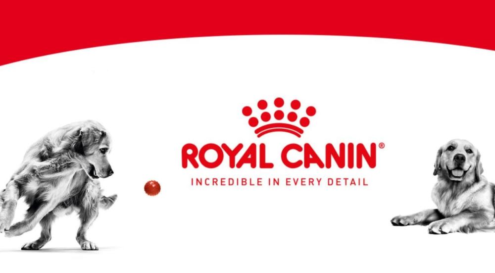 رويال كانين Royal Canin - افضل منتجات للقطط والكلاب