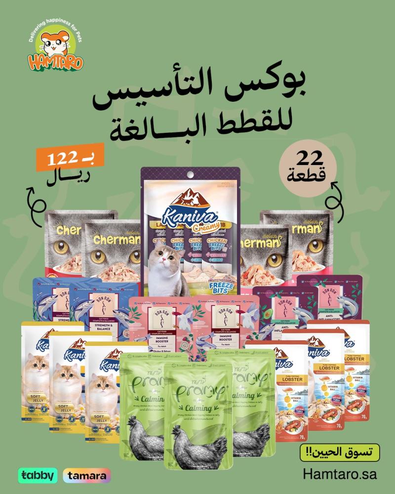 بوكس تأسيس للقطط البالغة