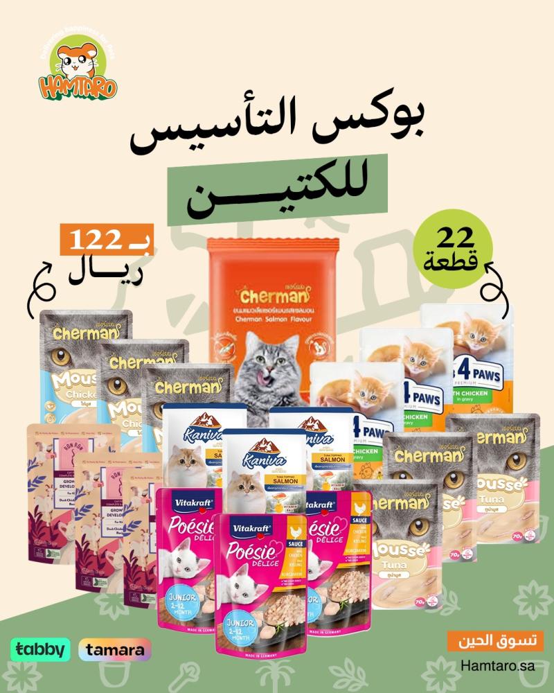 بوكس تأسيس الكيتن