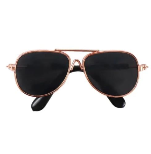 نضارة شمسية لقطط والكلاب اطار دائري