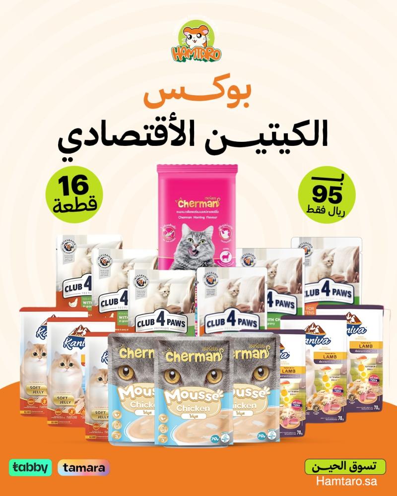 بوكس الكيتن الاقتصادي